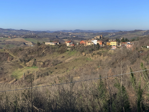 Tazzola Museo Botroidi