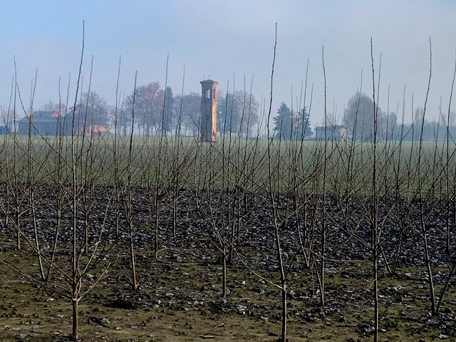 Durazzo Campanile Bologna