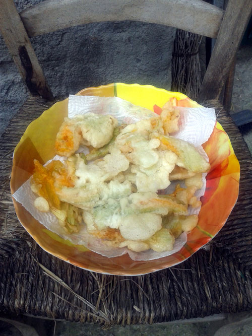 fiori di zucca fritti