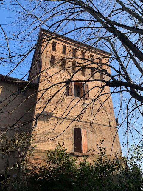 selva malvezzi bologna 9 torre