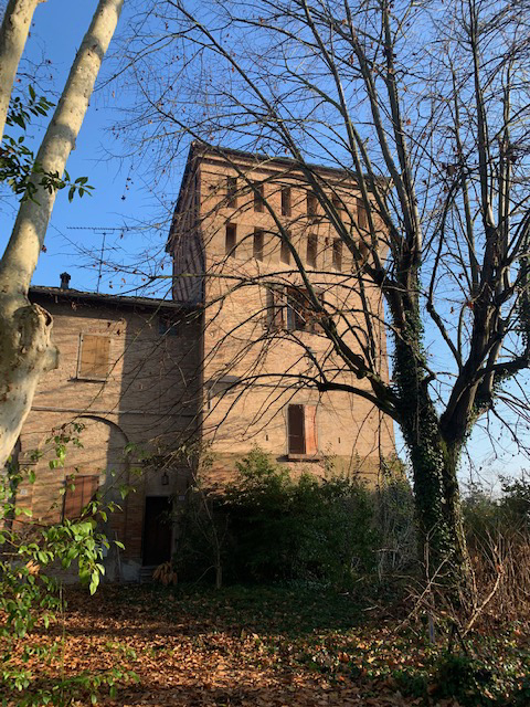 selva malvezzi bologna 9 torre